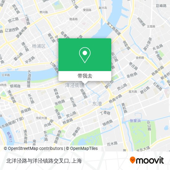 北洋泾路与洋泾镇路交叉口地图