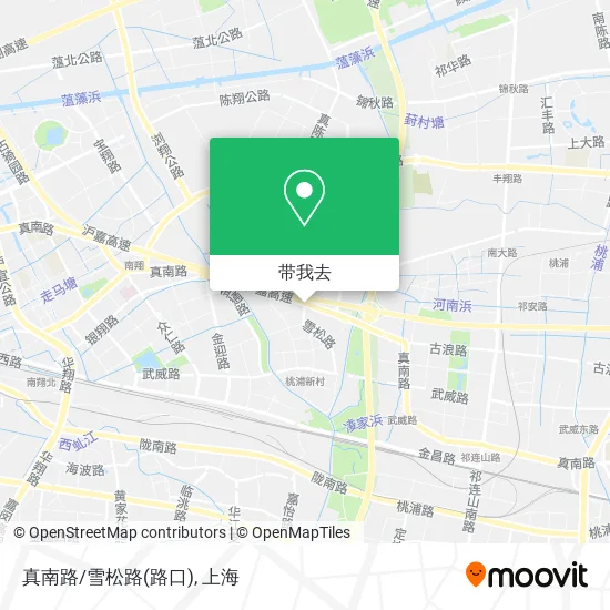 真南路/雪松路(路口)地图