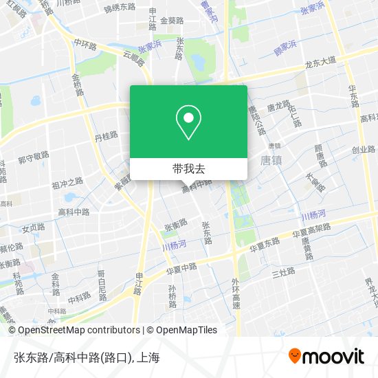 张东路/高科中路(路口)地图