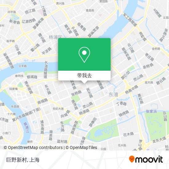 巨野新村地图