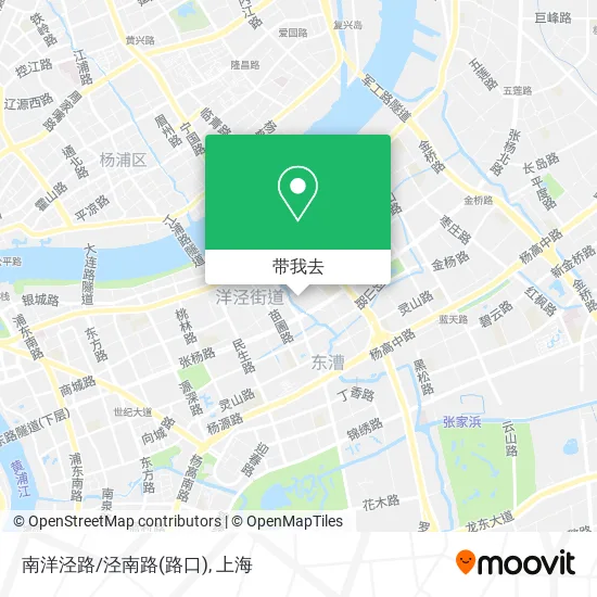 南洋泾路/泾南路(路口)地图