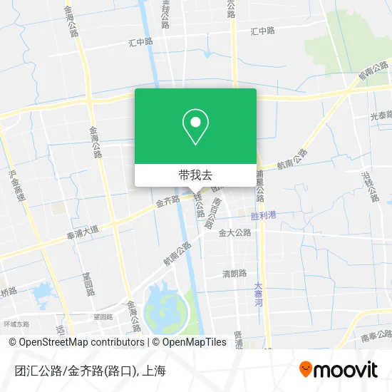 团汇公路/金齐路(路口)地图
