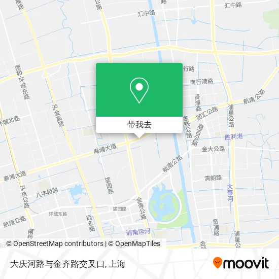 大庆河路与金齐路交叉口地图