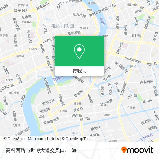 高科西路与世博大道交叉口地图