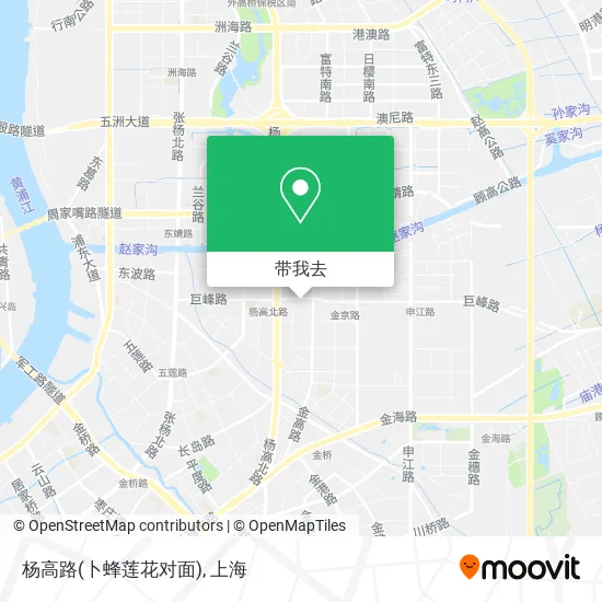 杨高路(卜蜂莲花对面)地图