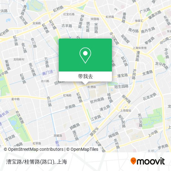 漕宝路/桂箐路(路口)地图