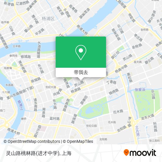 灵山路桃林路(进才中学)地图