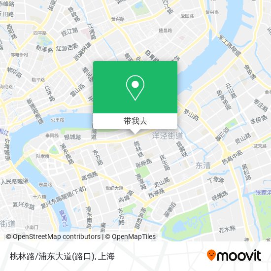 桃林路/浦东大道(路口)地图
