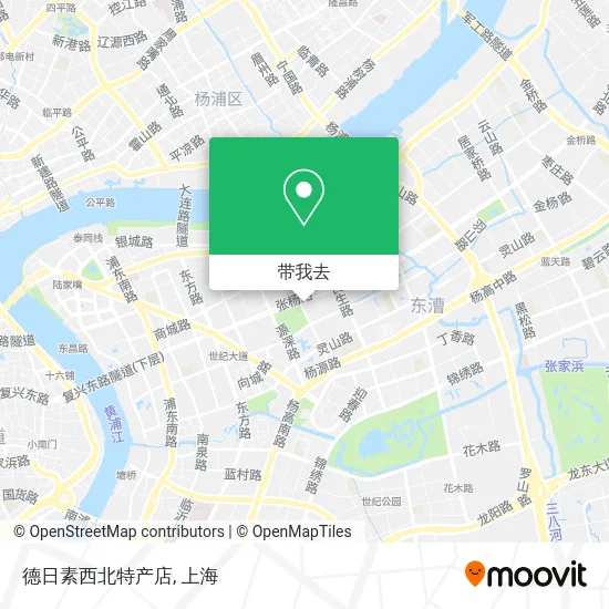 德日素西北特产店地图