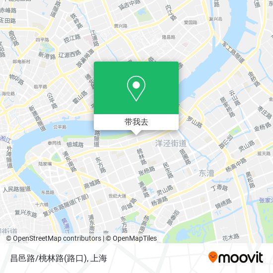 昌邑路/桃林路(路口)地图