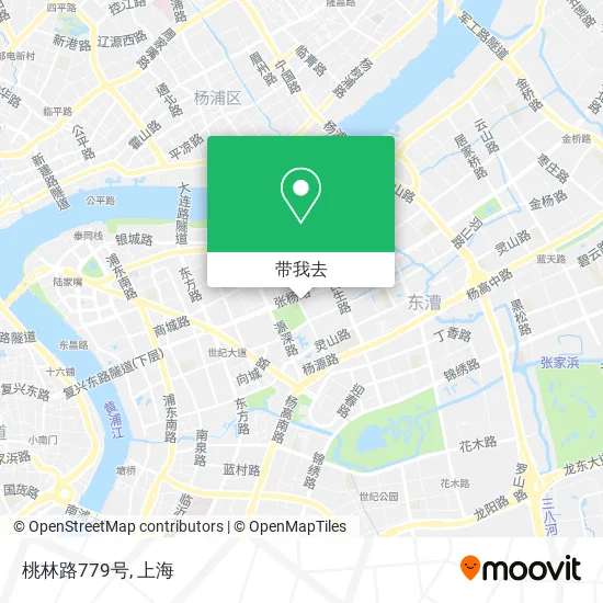 桃林路779号地图