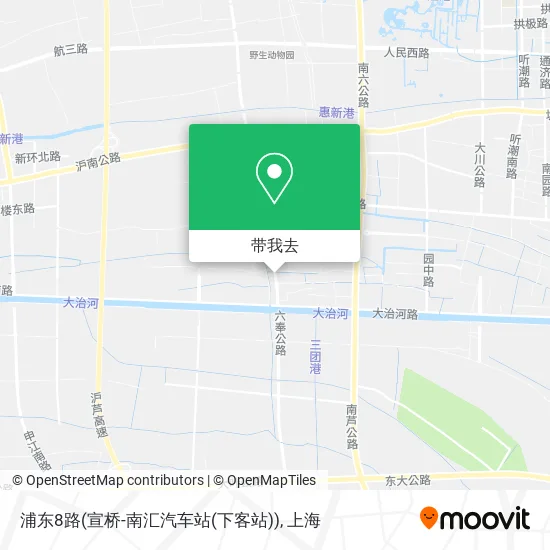 浦东8路(宣桥-南汇汽车站(下客站))地图