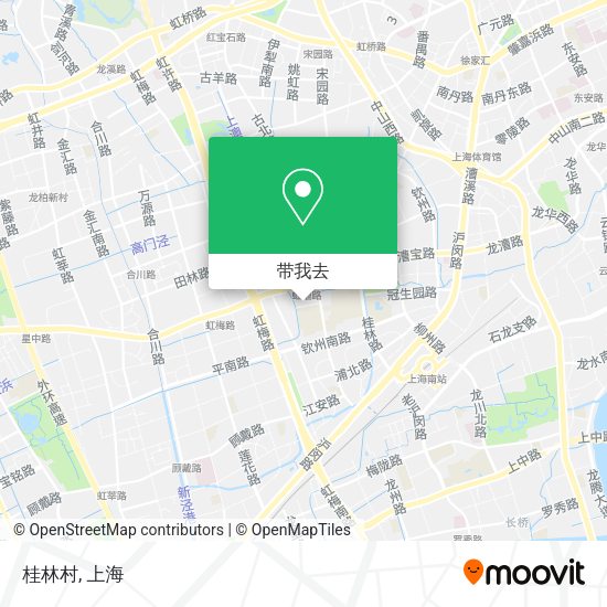 桂林村地图