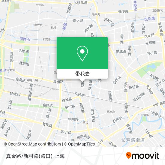 真金路/新村路(路口)地图