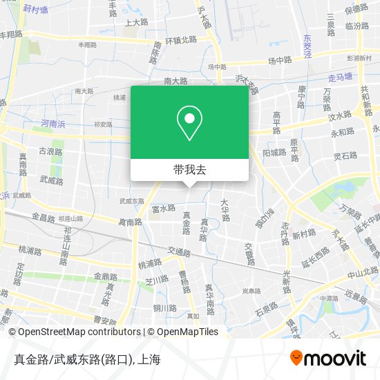 真金路/武威东路(路口)地图