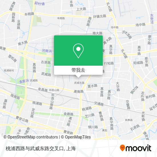 桃浦西路与武威东路交叉口地图