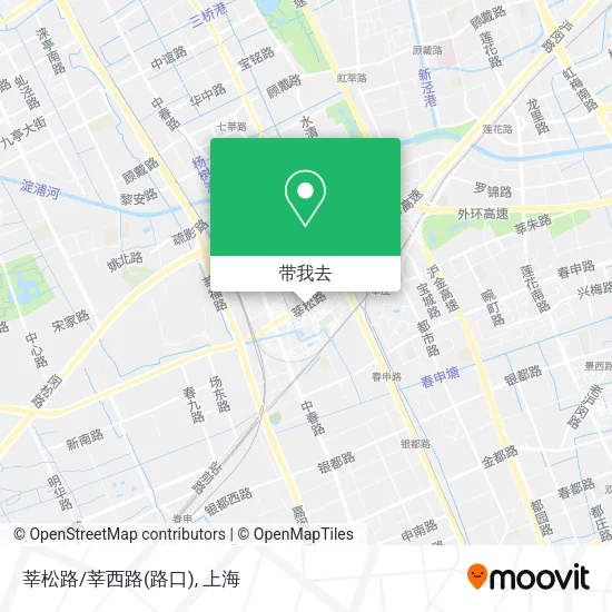 莘松路/莘西路(路口)地图