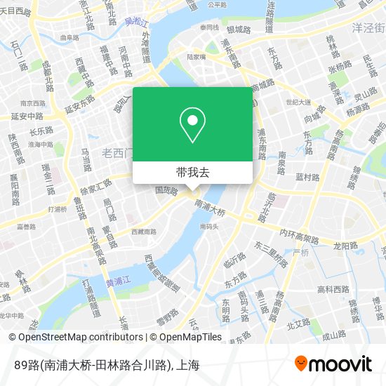 89路(南浦大桥-田林路合川路)地图
