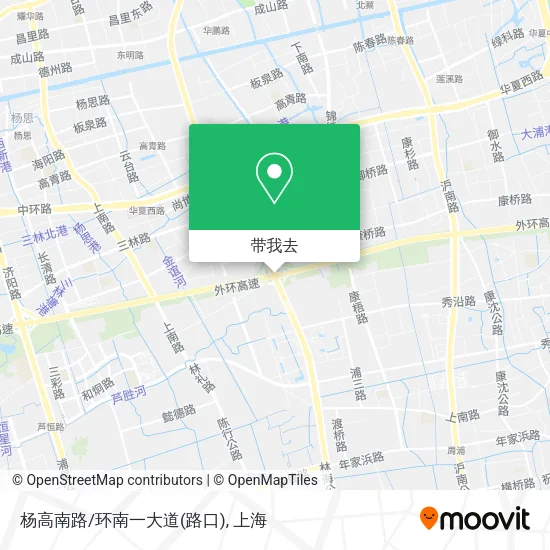 杨高南路/环南一大道(路口)地图