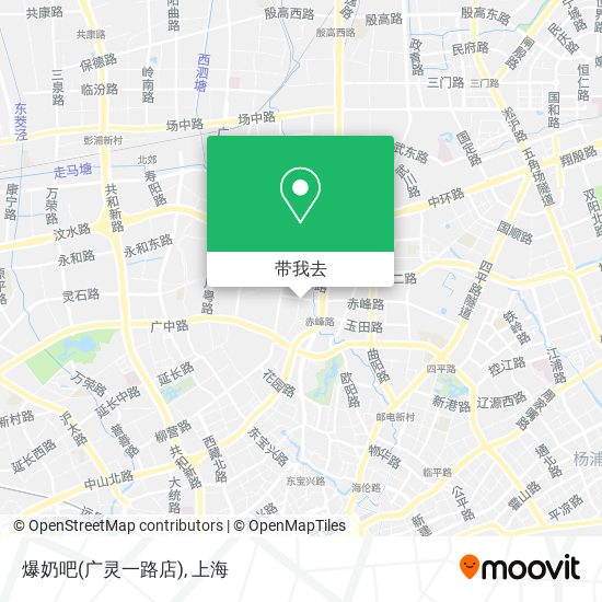 爆奶吧(广灵一路店)地图