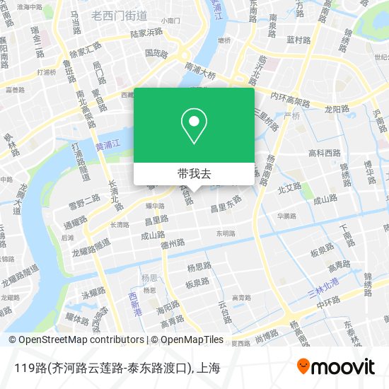 119路(齐河路云莲路-泰东路渡口)地图