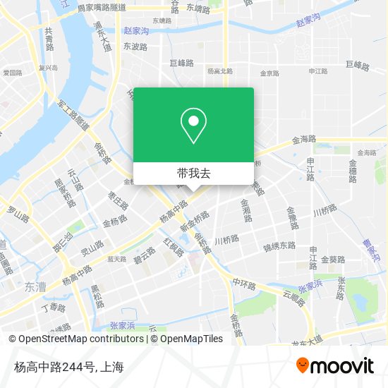 杨高中路244号地图