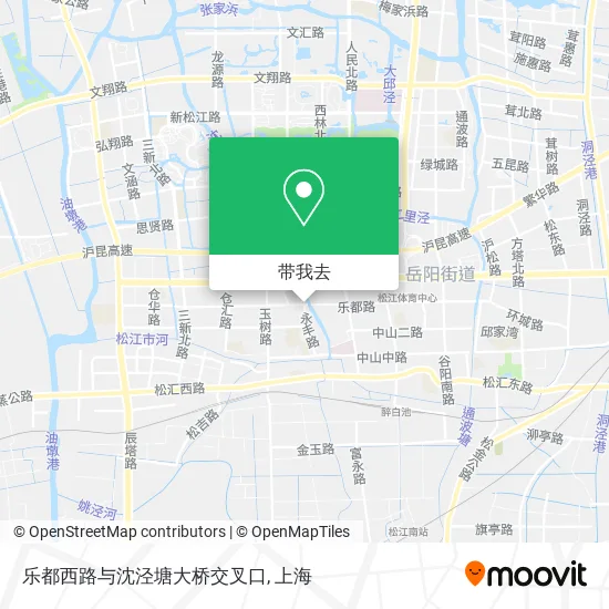 乐都西路与沈泾塘大桥交叉口地图