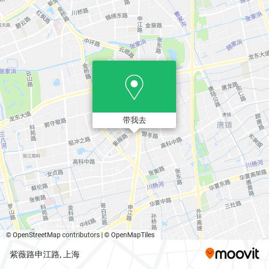 紫薇路申江路地图