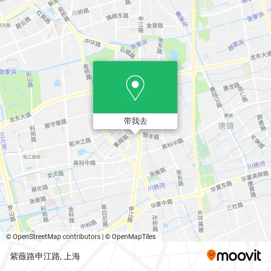 紫薇路申江路地图