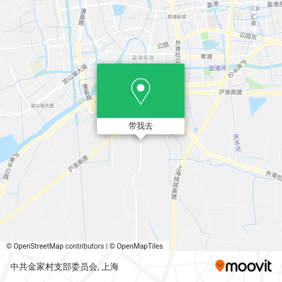 中共金家村支部委员会地图