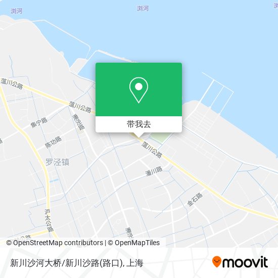 新川沙河大桥/新川沙路(路口)地图