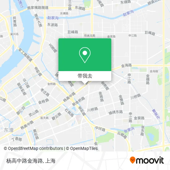 杨高中路金海路地图