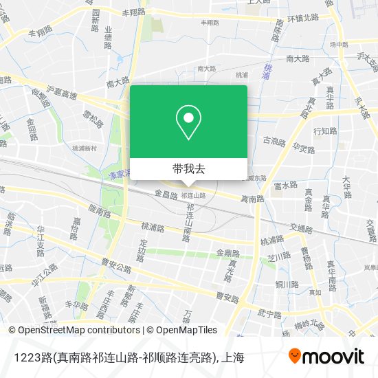 1223路(真南路祁连山路-祁顺路连亮路)地图