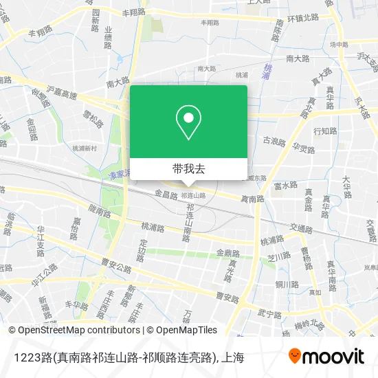 1223路(真南路祁连山路-祁顺路连亮路)地图