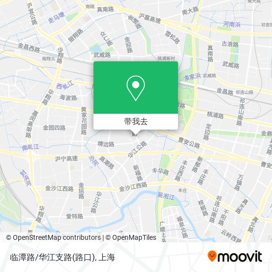 临潭路/华江支路(路口)地图