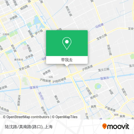 陆沈路/真南路(路口)地图
