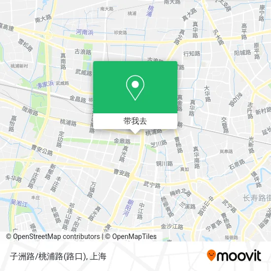 子洲路/桃浦路(路口)地图
