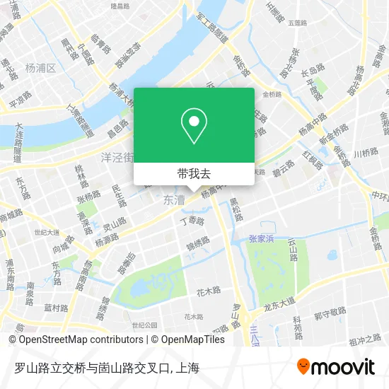 罗山路立交桥与崮山路交叉口地图