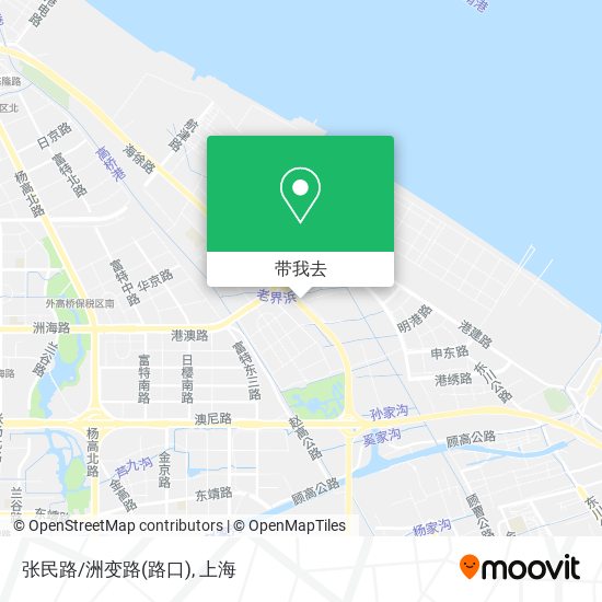 张民路/洲变路(路口)地图