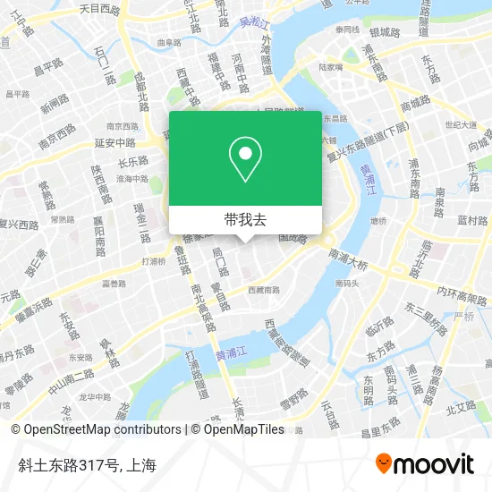 斜土东路317号地图