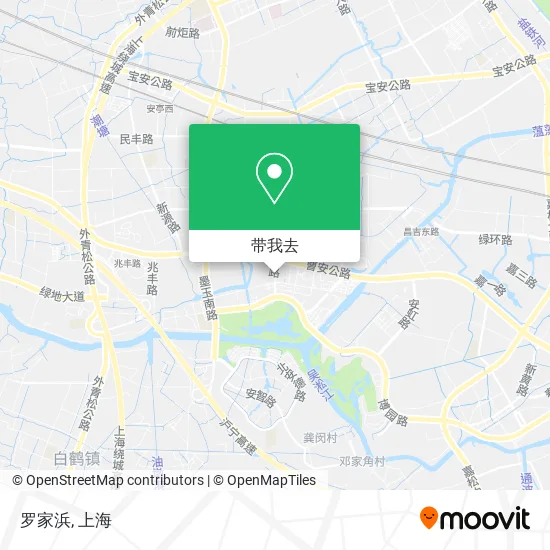 罗家浜地图