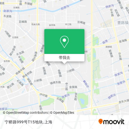 宁桥路999号T15地块地图