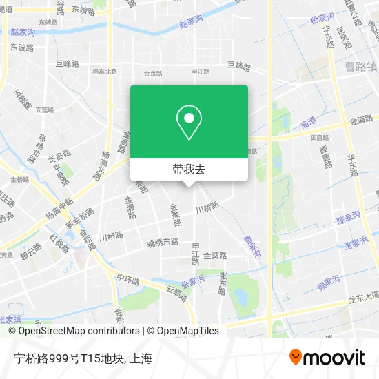 宁桥路999号T15地块地图