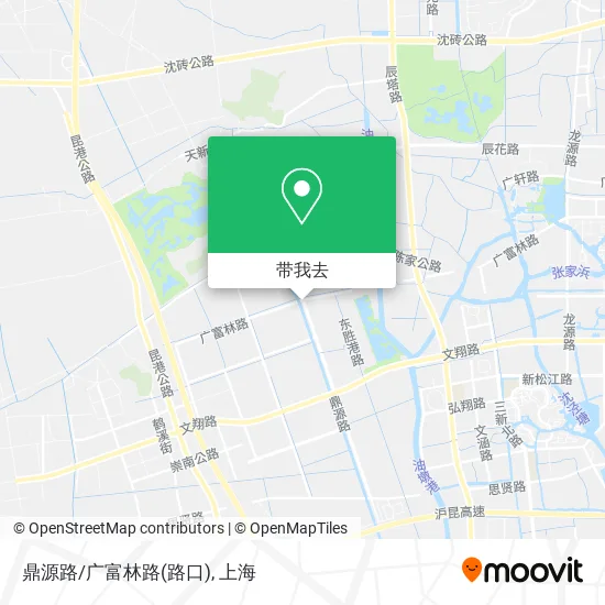 鼎源路/广富林路(路口)地图