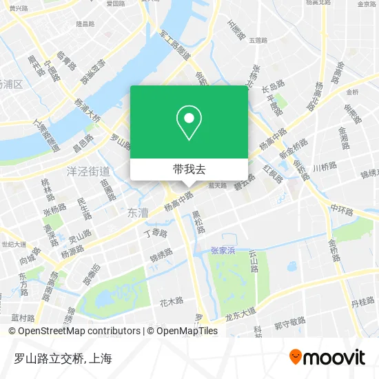罗山路立交桥地图