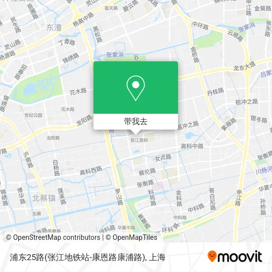 浦东25路(张江地铁站-康恩路康浦路)地图
