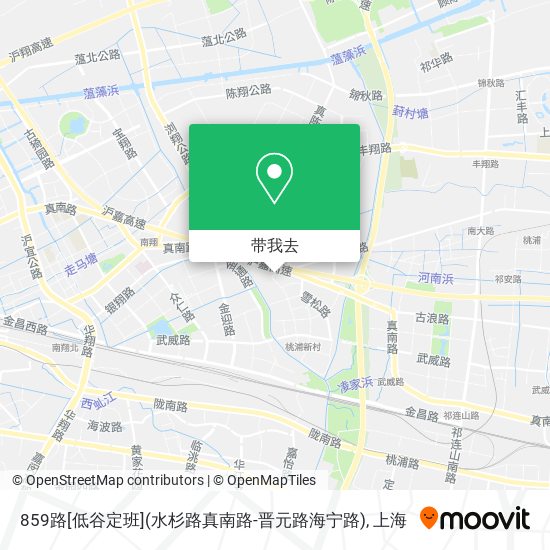 859路[低谷定班](水杉路真南路-晋元路海宁路)地图