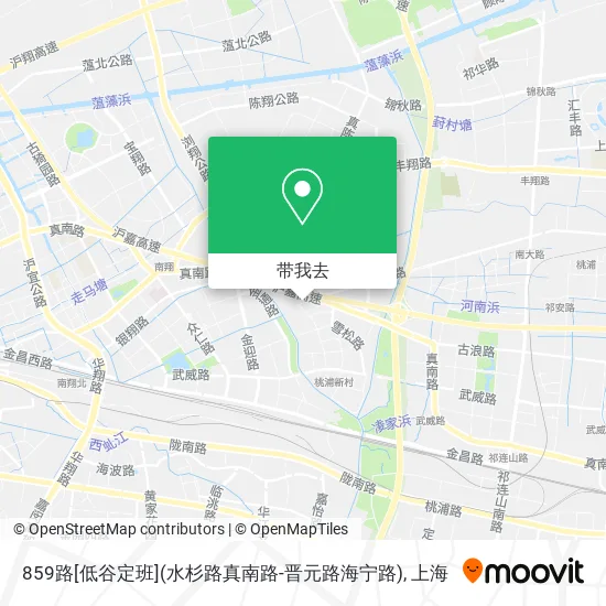 859路[低谷定班](水杉路真南路-晋元路海宁路)地图