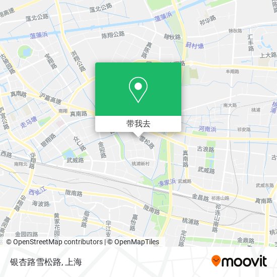 银杏路雪松路地图