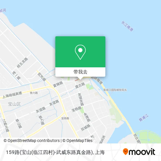 159路(宝山(临江四村)-武威东路真金路)地图